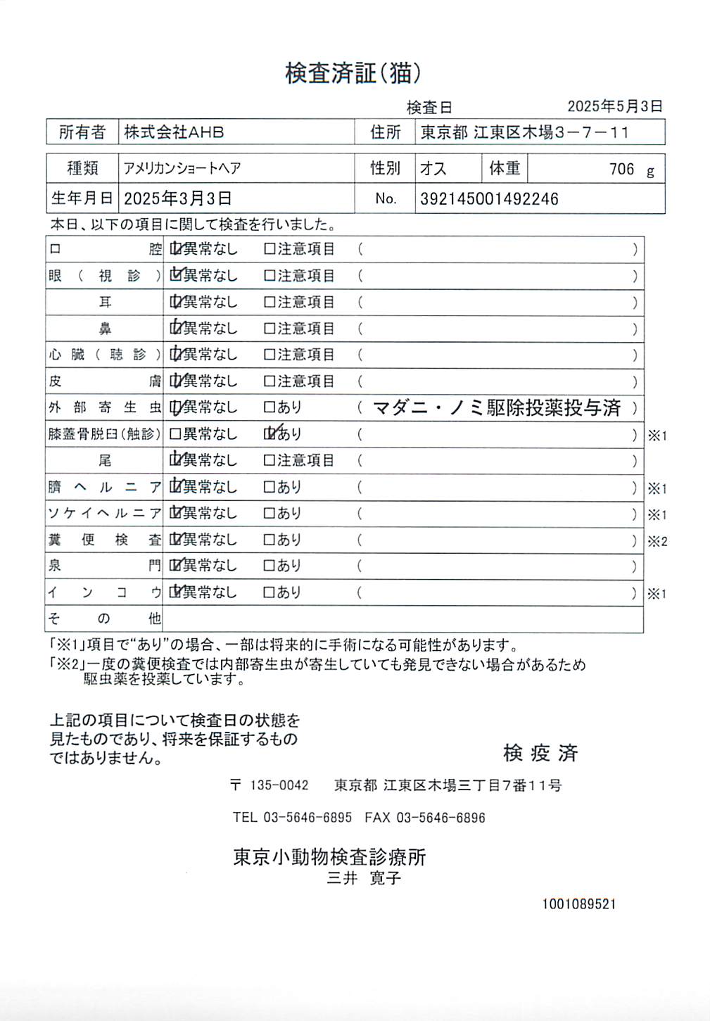 アメリカンショートヘア