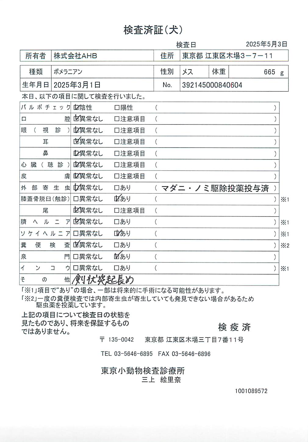 ポメラニアン