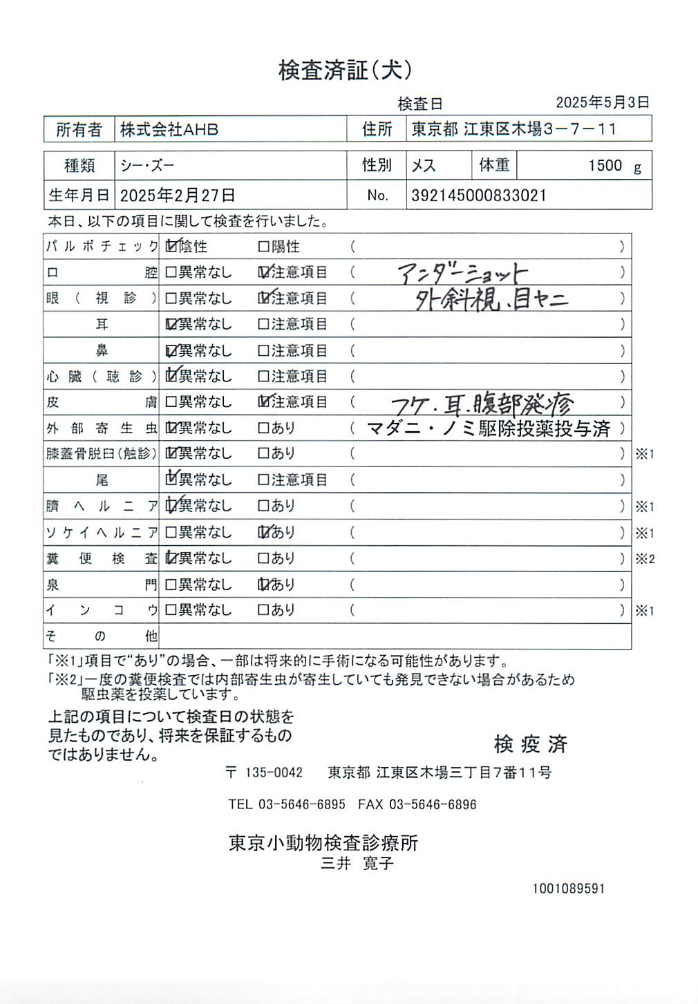 シー・ズー