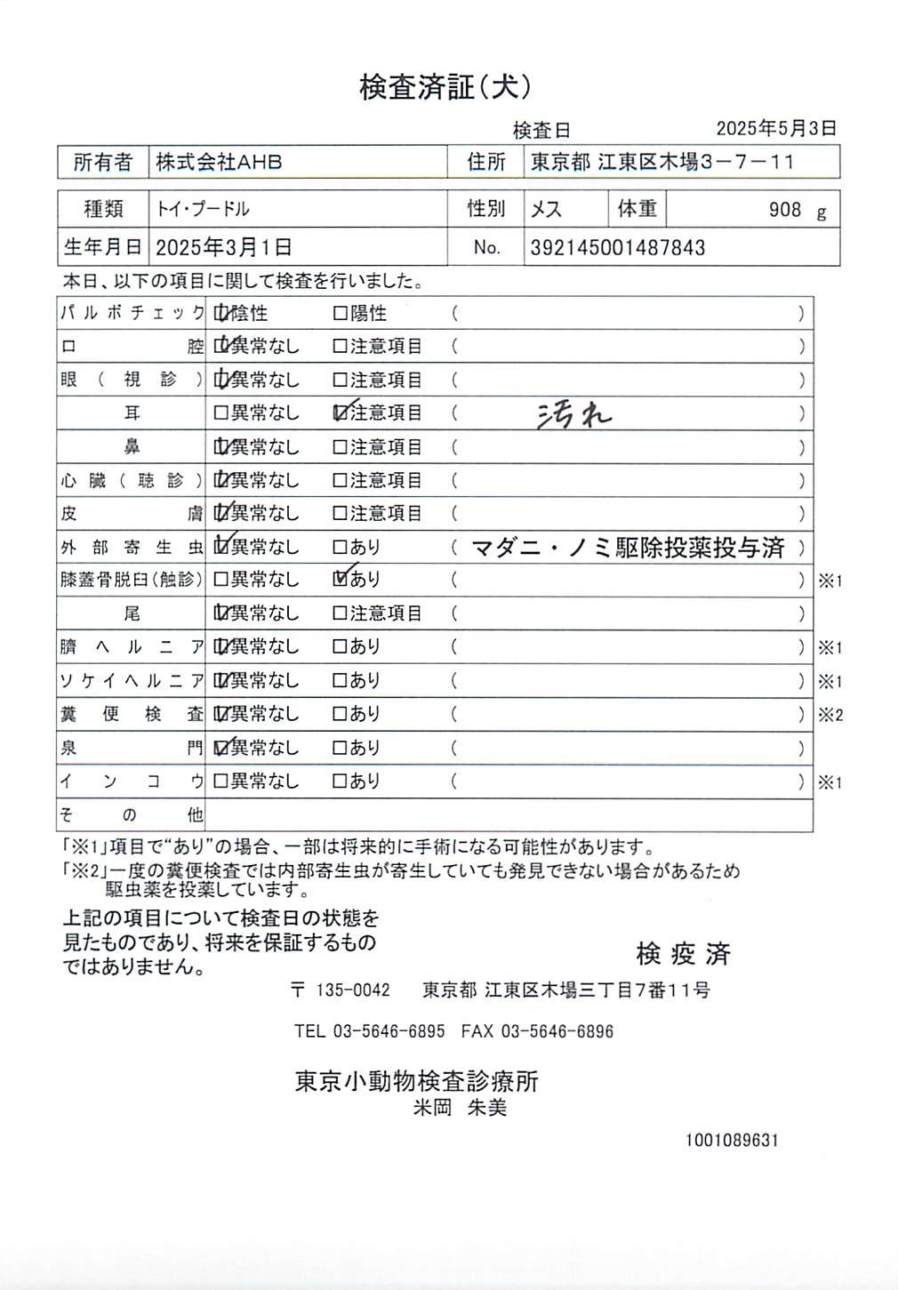 トイ・プードル