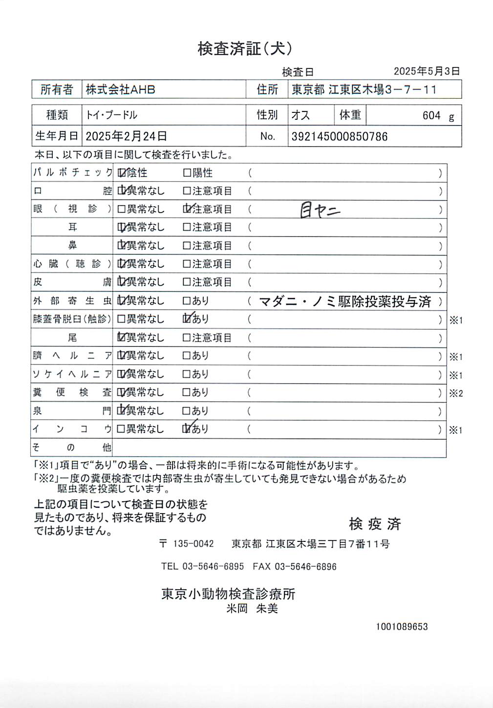 トイ・プードル