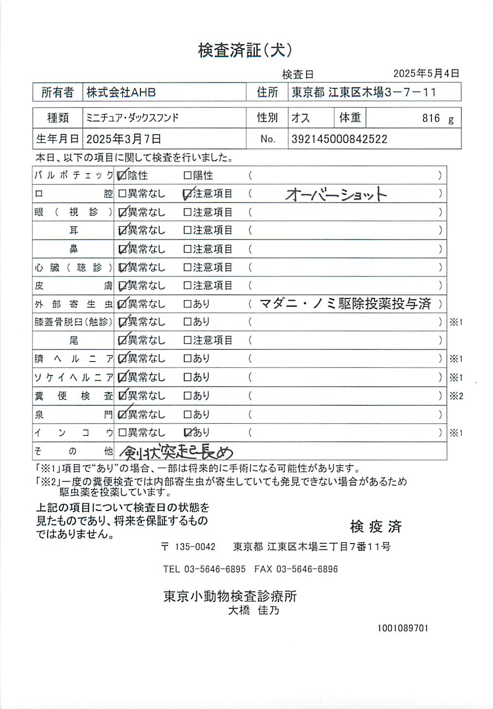 ミニチュア・ダックスフンド
