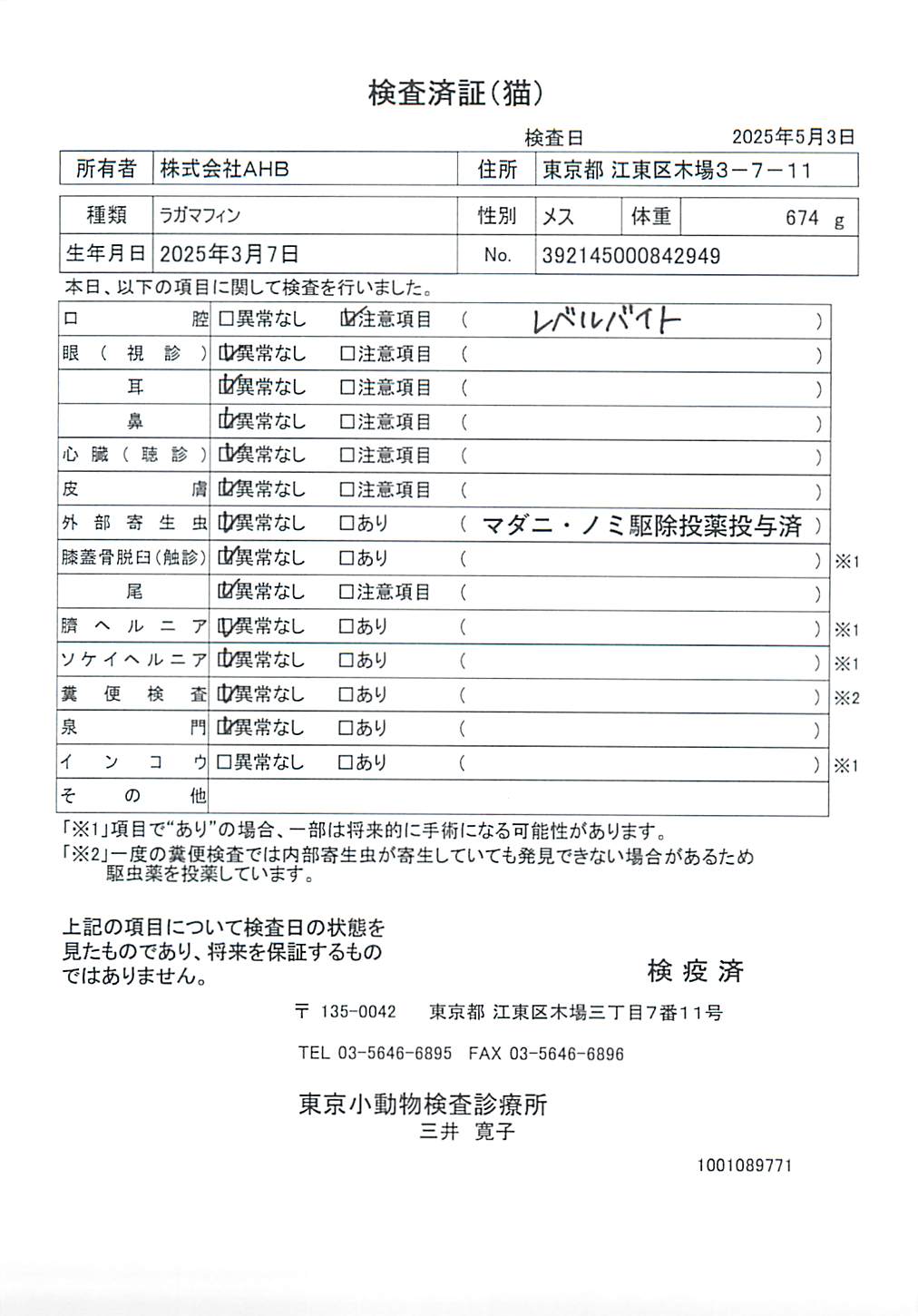 ラガマフィン