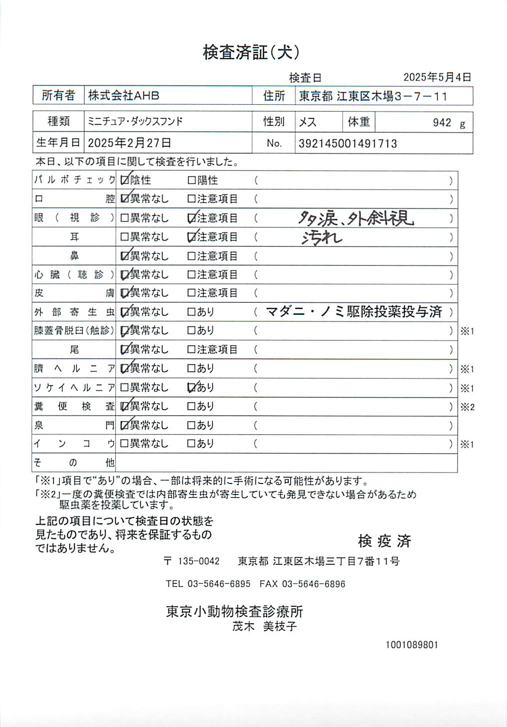 ミニチュア・ダックスフンド