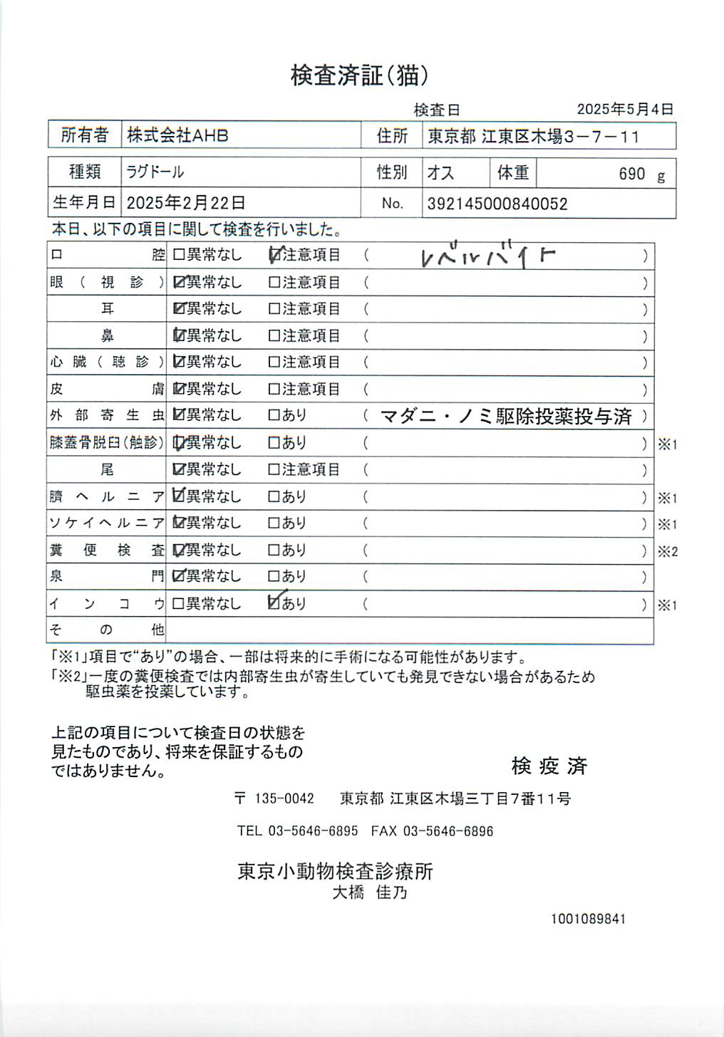 ラグドール