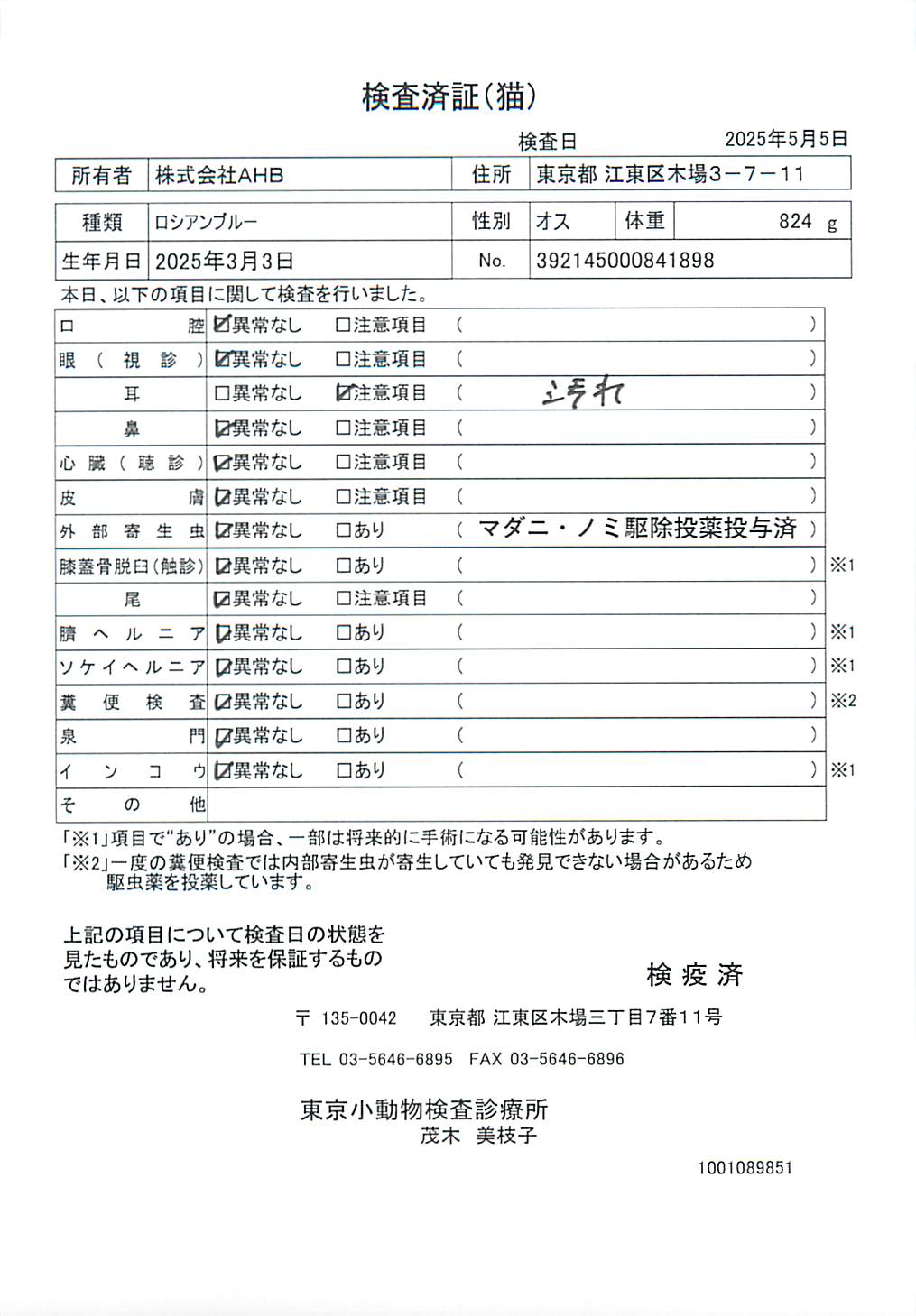 ロシアンブルー