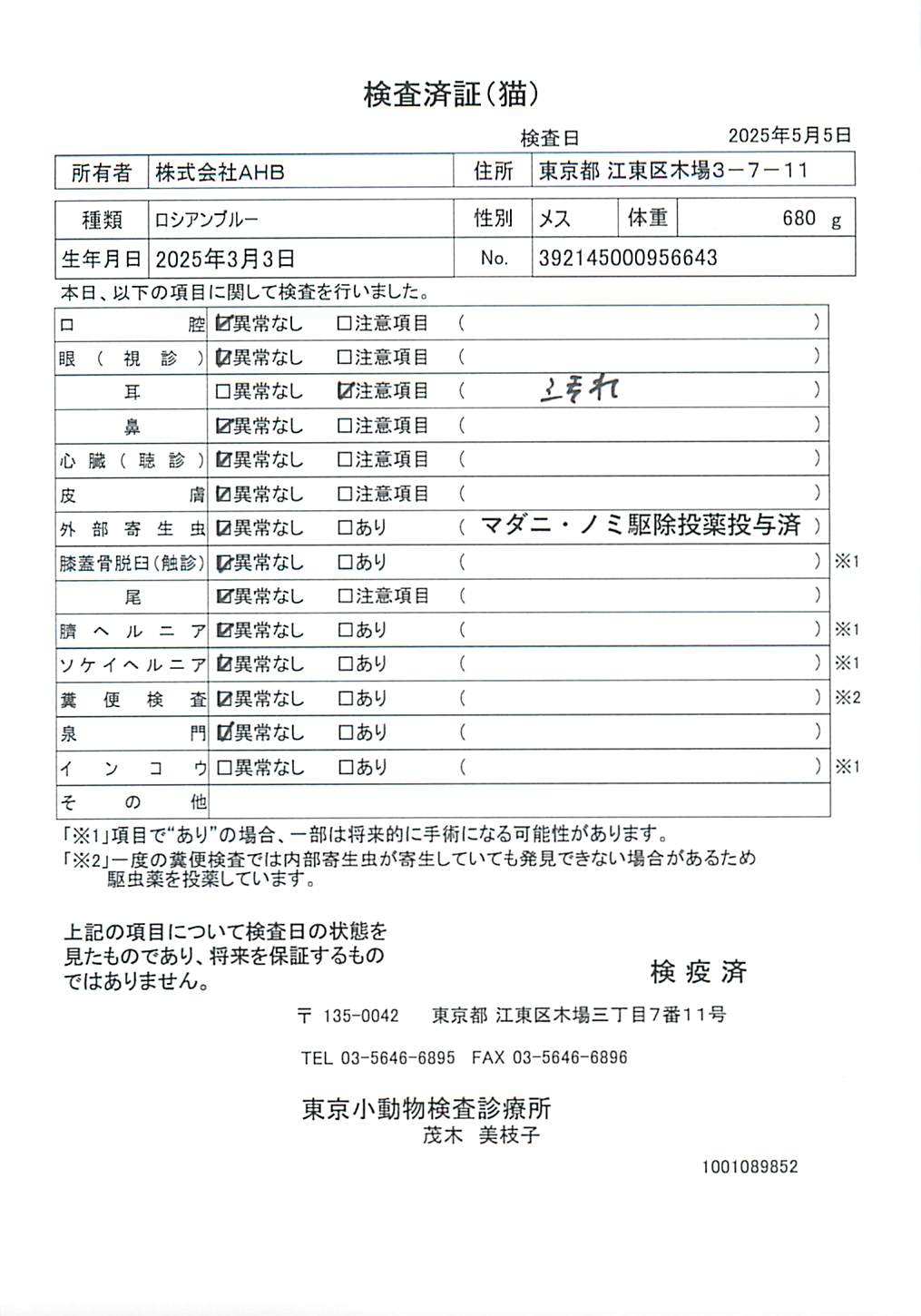 ロシアンブルー
