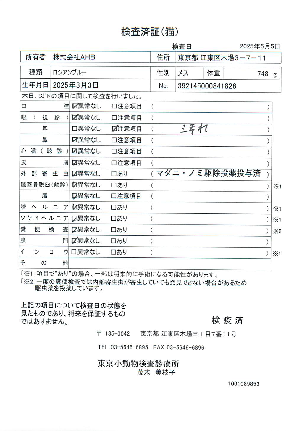 ロシアンブルー