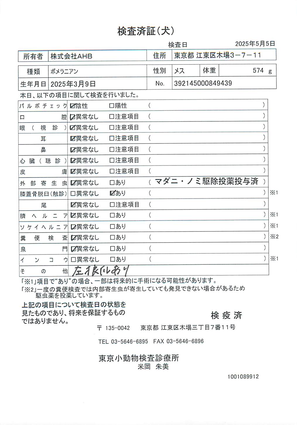 ポメラニアン