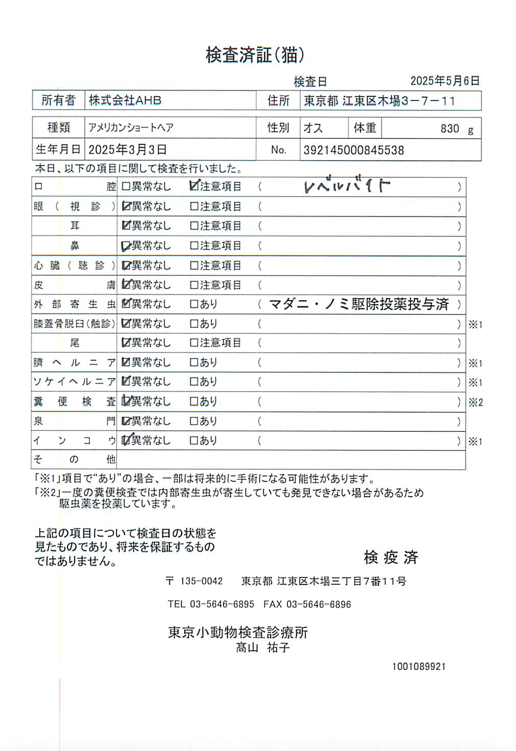 アメリカンショートヘア