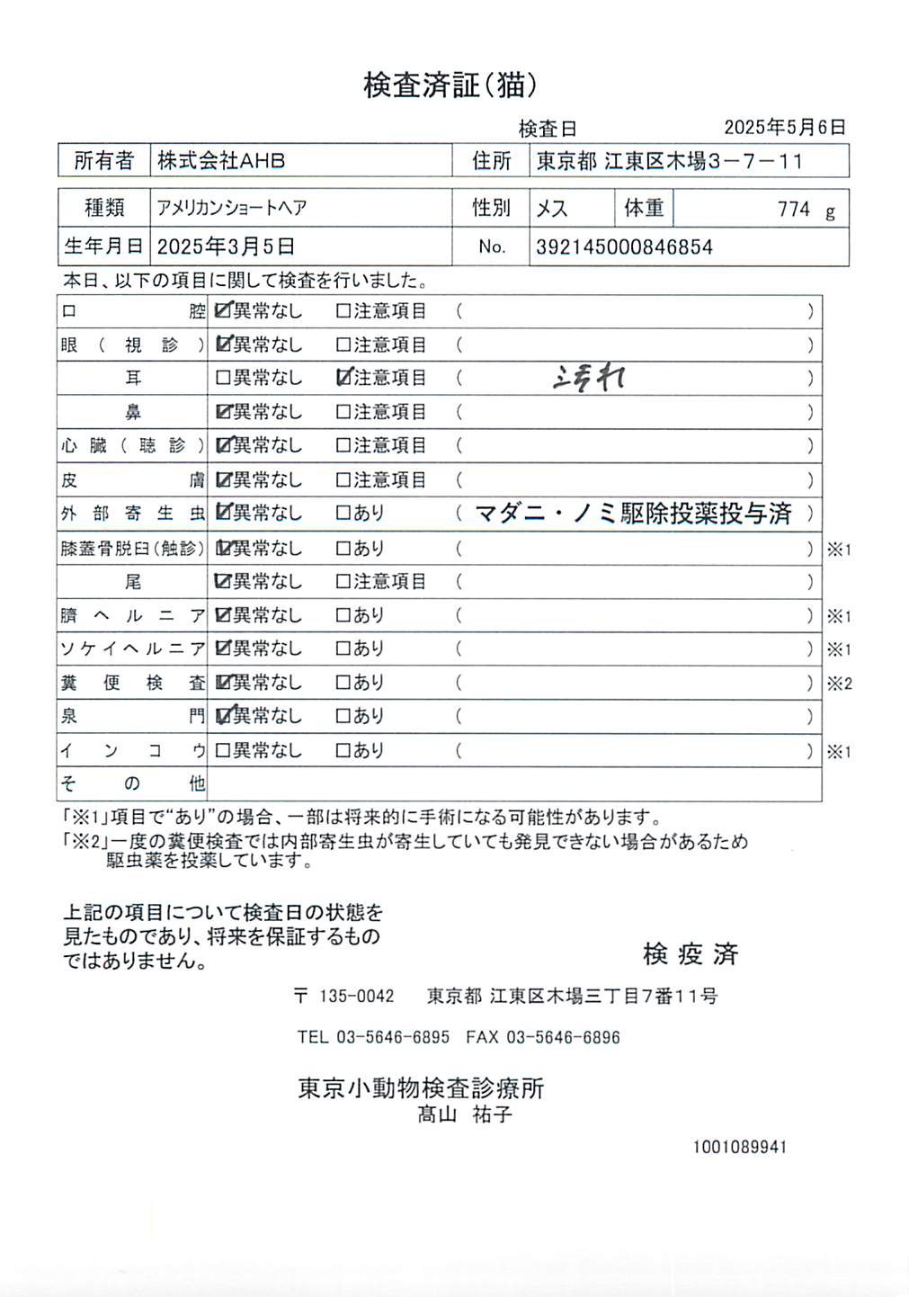 アメリカンショートヘア