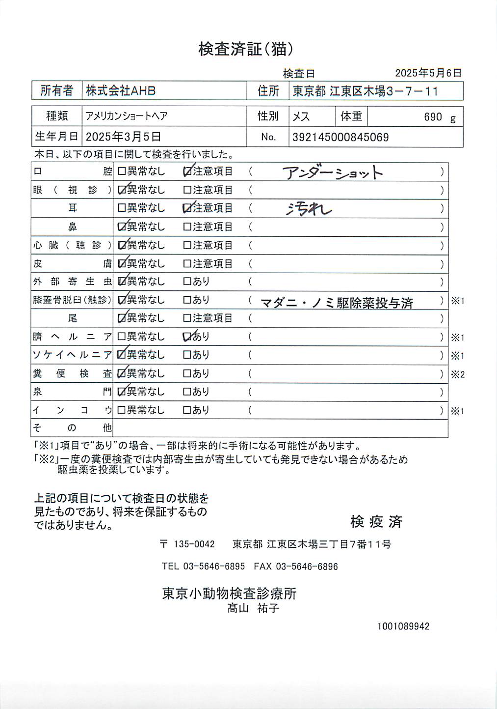 アメリカンショートヘア
