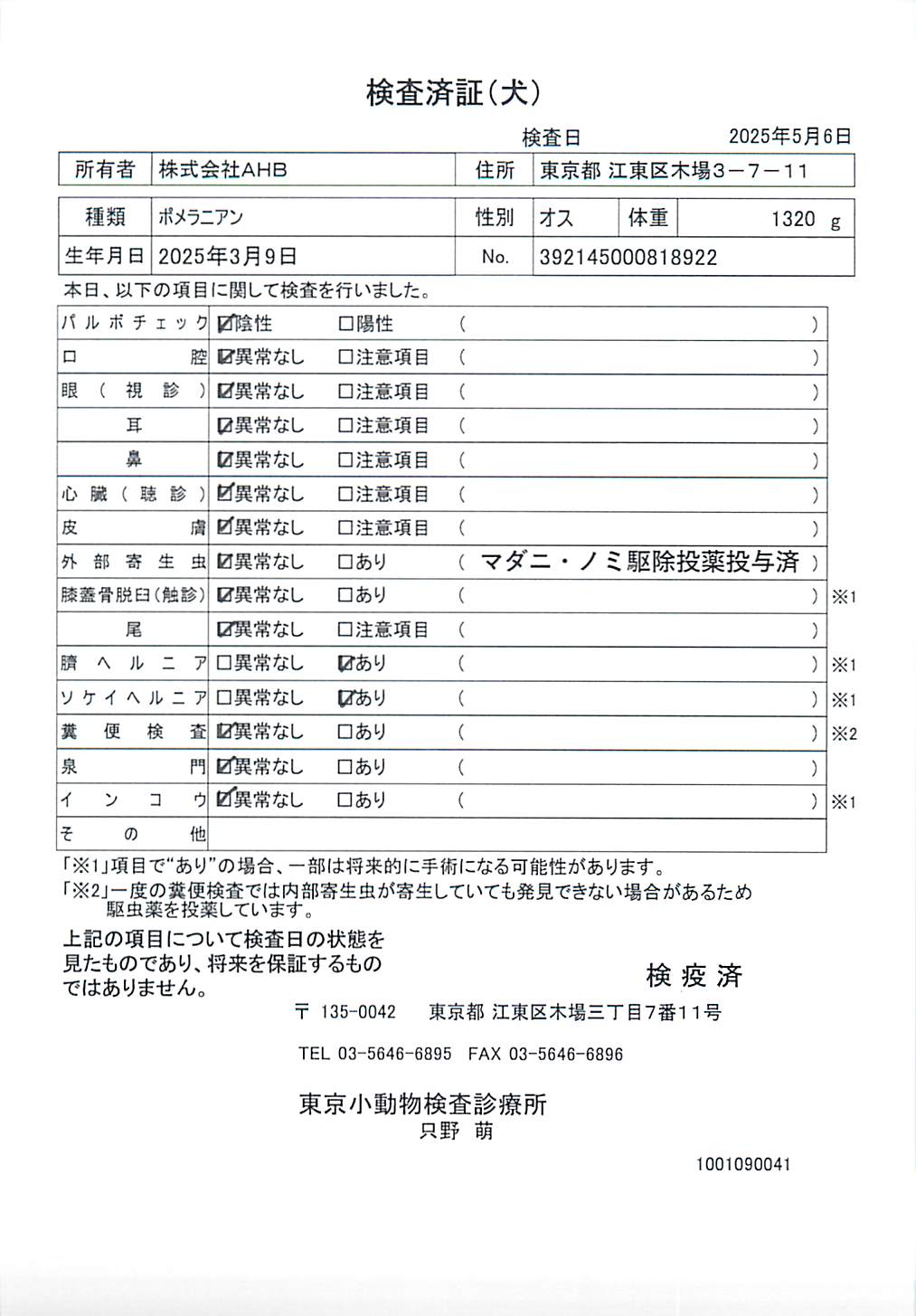ポメラニアン