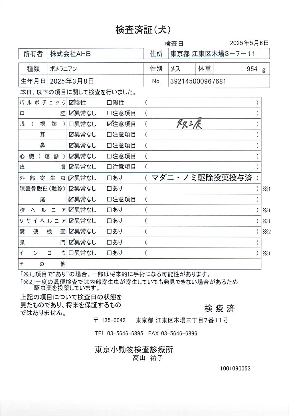 ポメラニアン