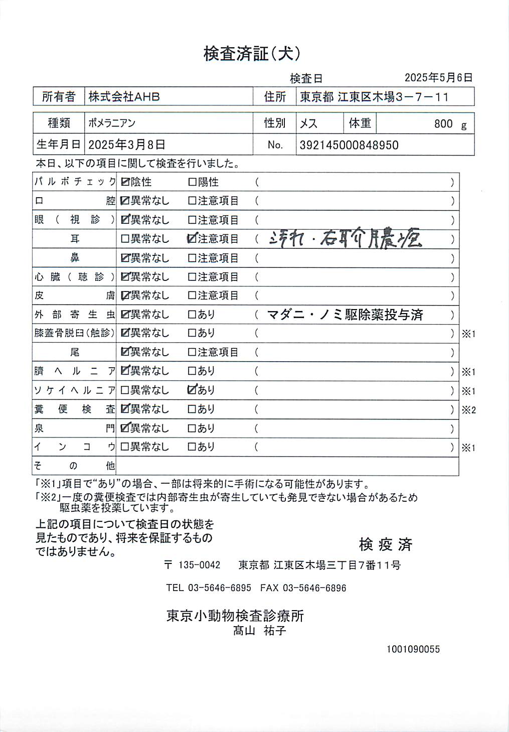 ポメラニアン