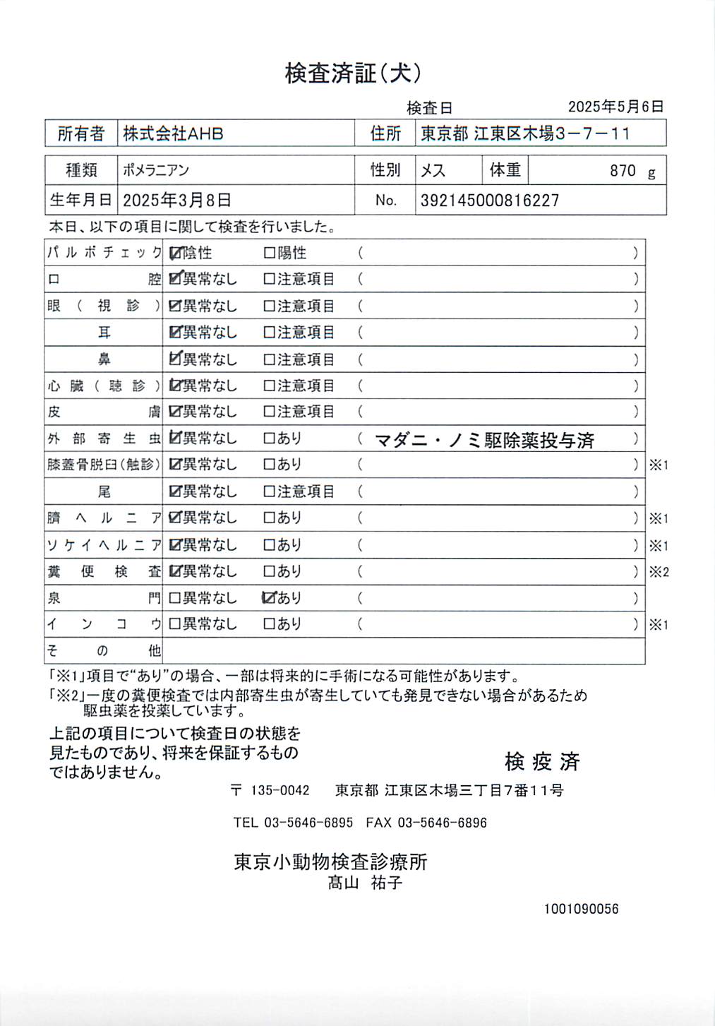 ポメラニアン