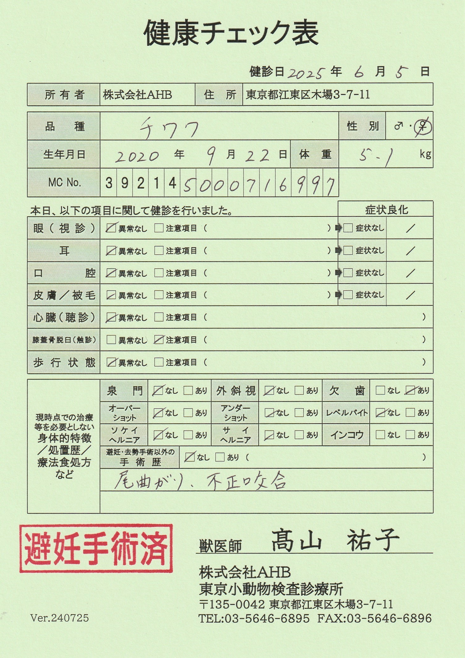 チワワ