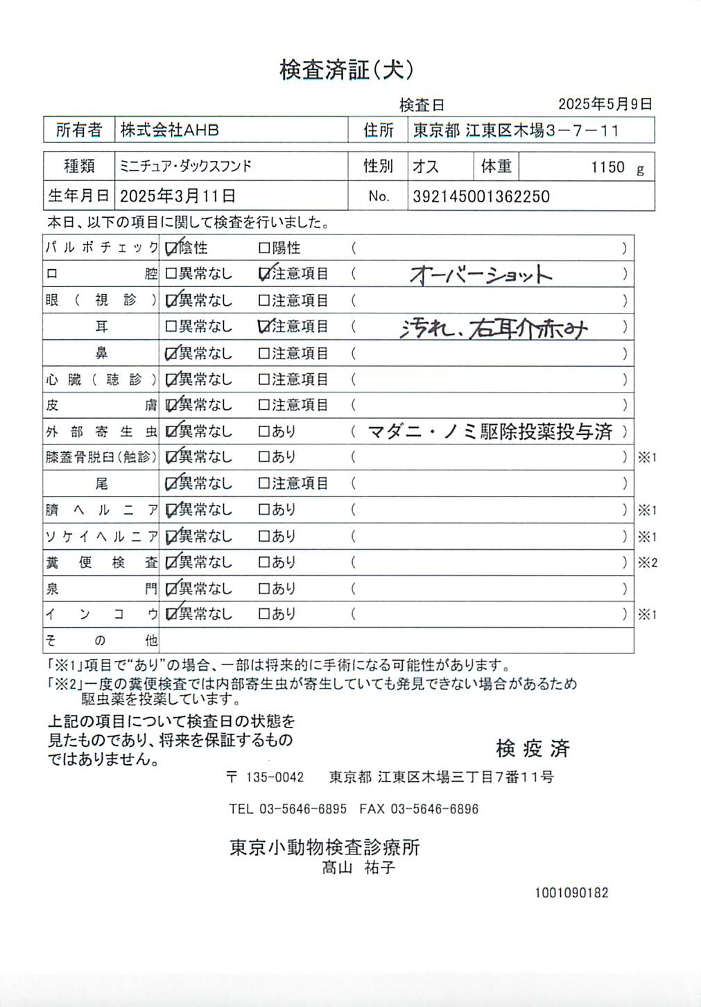 ミニチュア・ダックスフンド