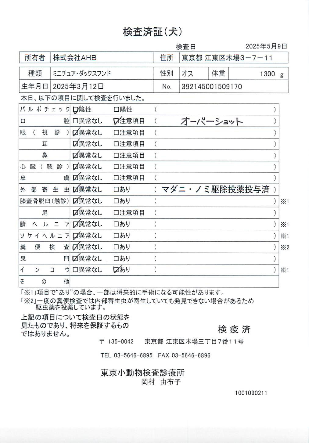 ミニチュア・ダックスフンド