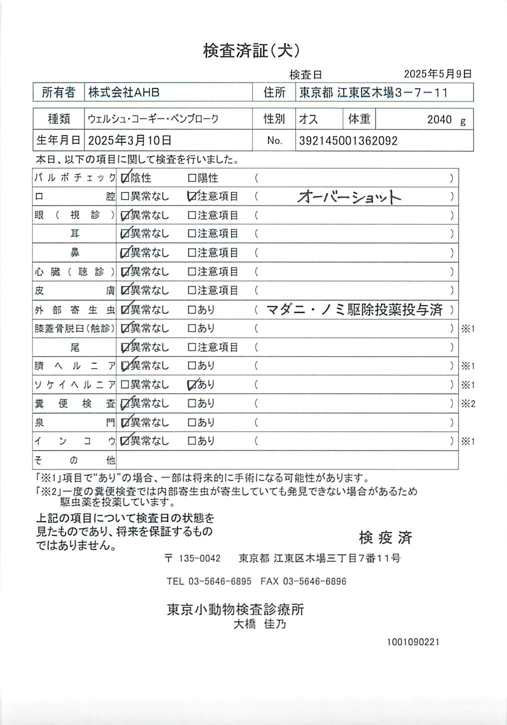 ウェルシュ・コーギー・ペンブローク