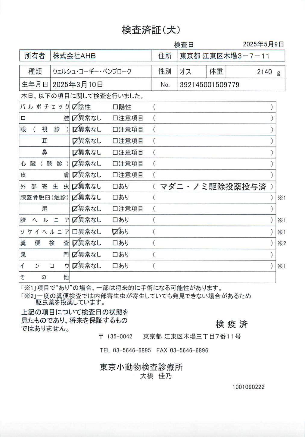 ウェルシュ・コーギー・ペンブローク