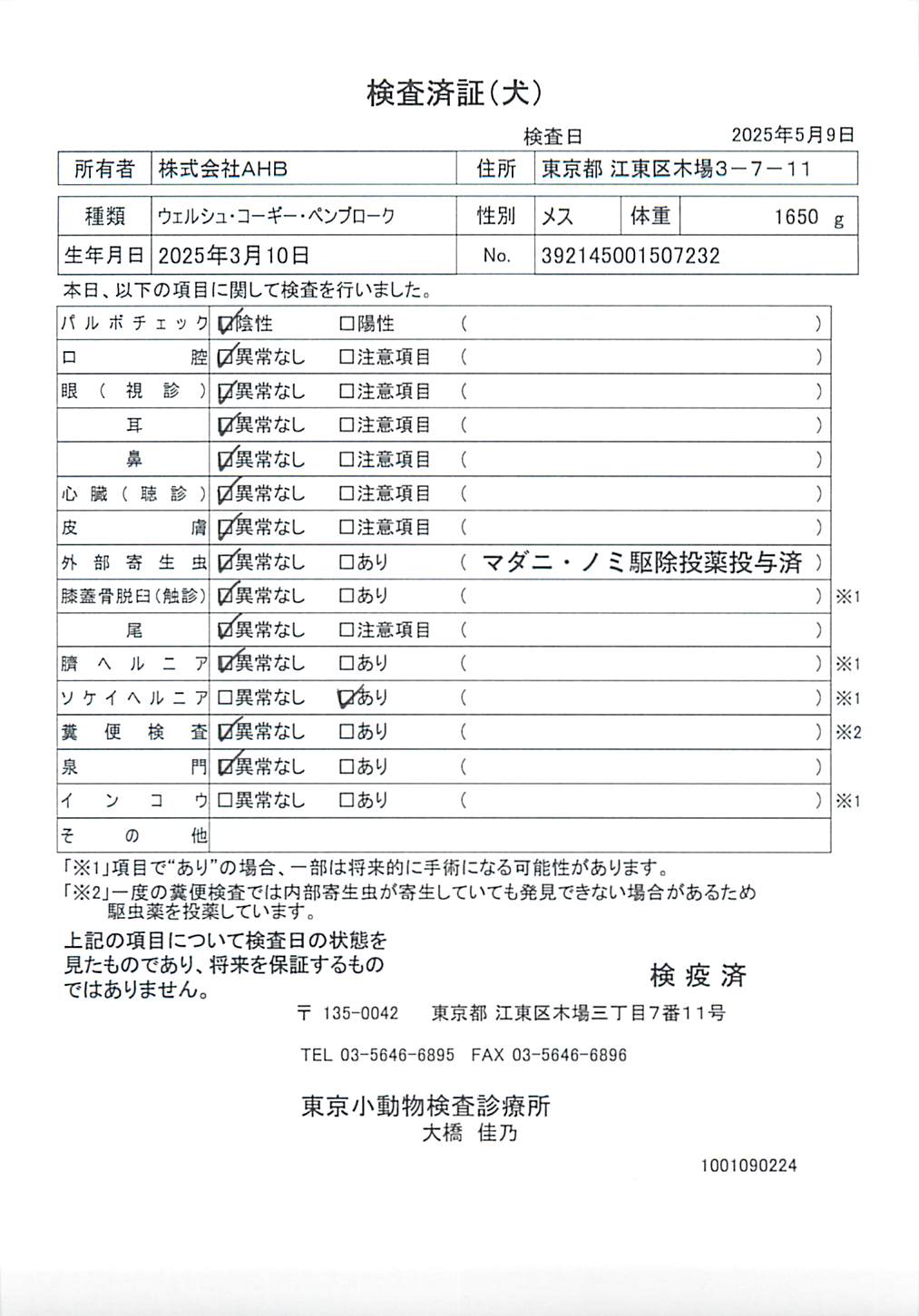 ウェルシュ・コーギー・ペンブローク