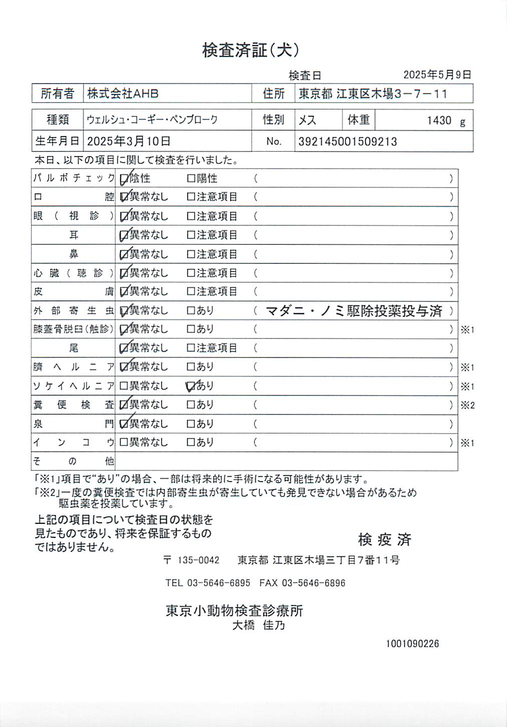 ウェルシュ・コーギー・ペンブローク
