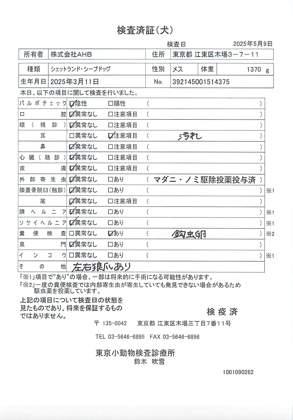 シェットランド・シープドッグ