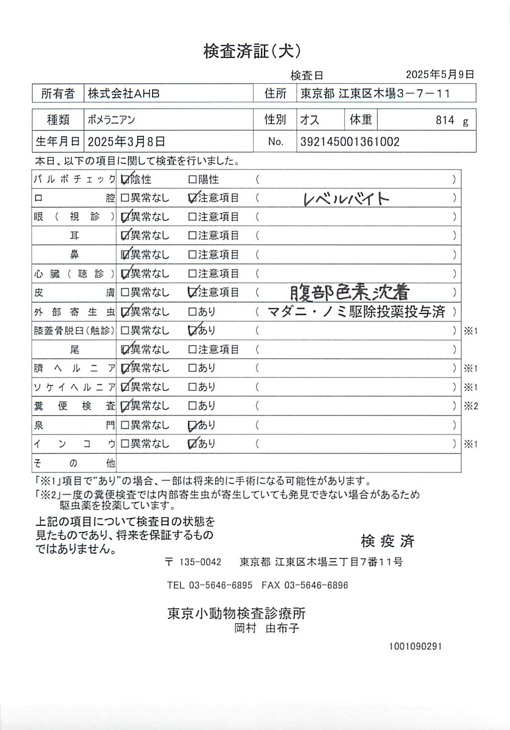 ポメラニアン