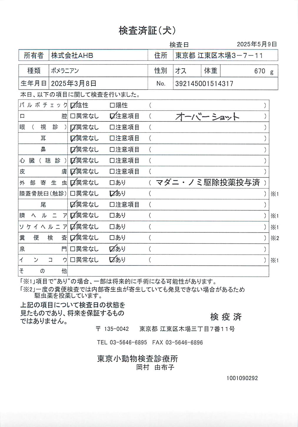 ポメラニアン