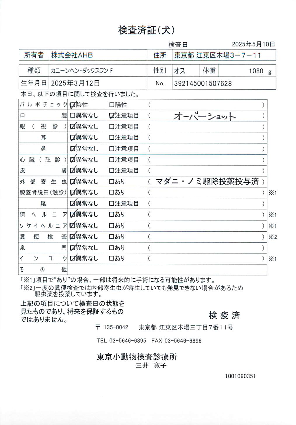 カニーンヘン・ダックスフンド
