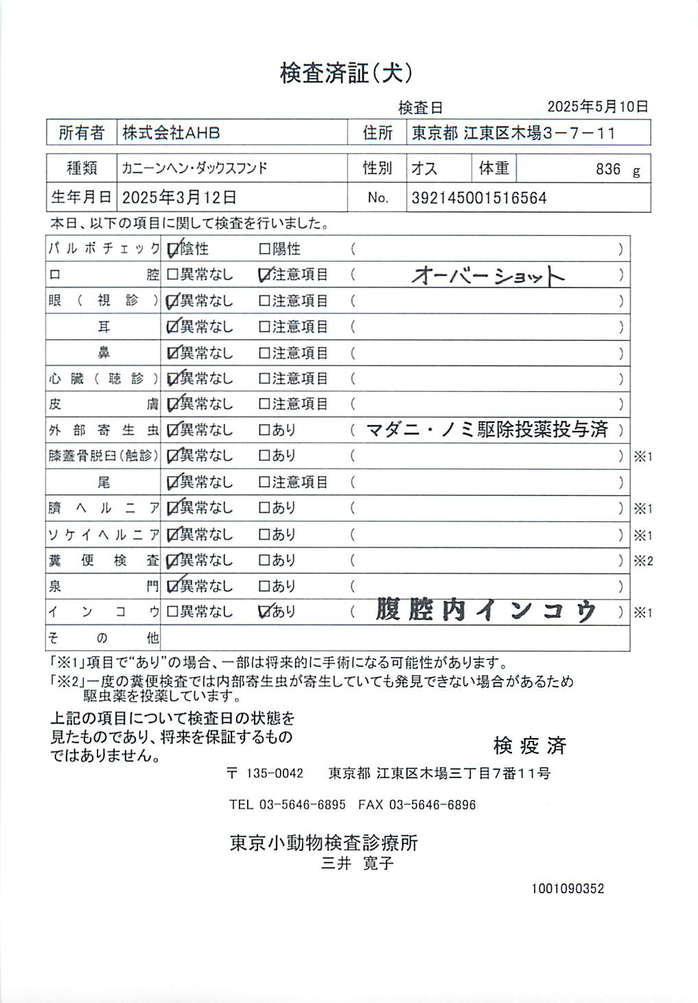 カニーンヘン・ダックスフンド