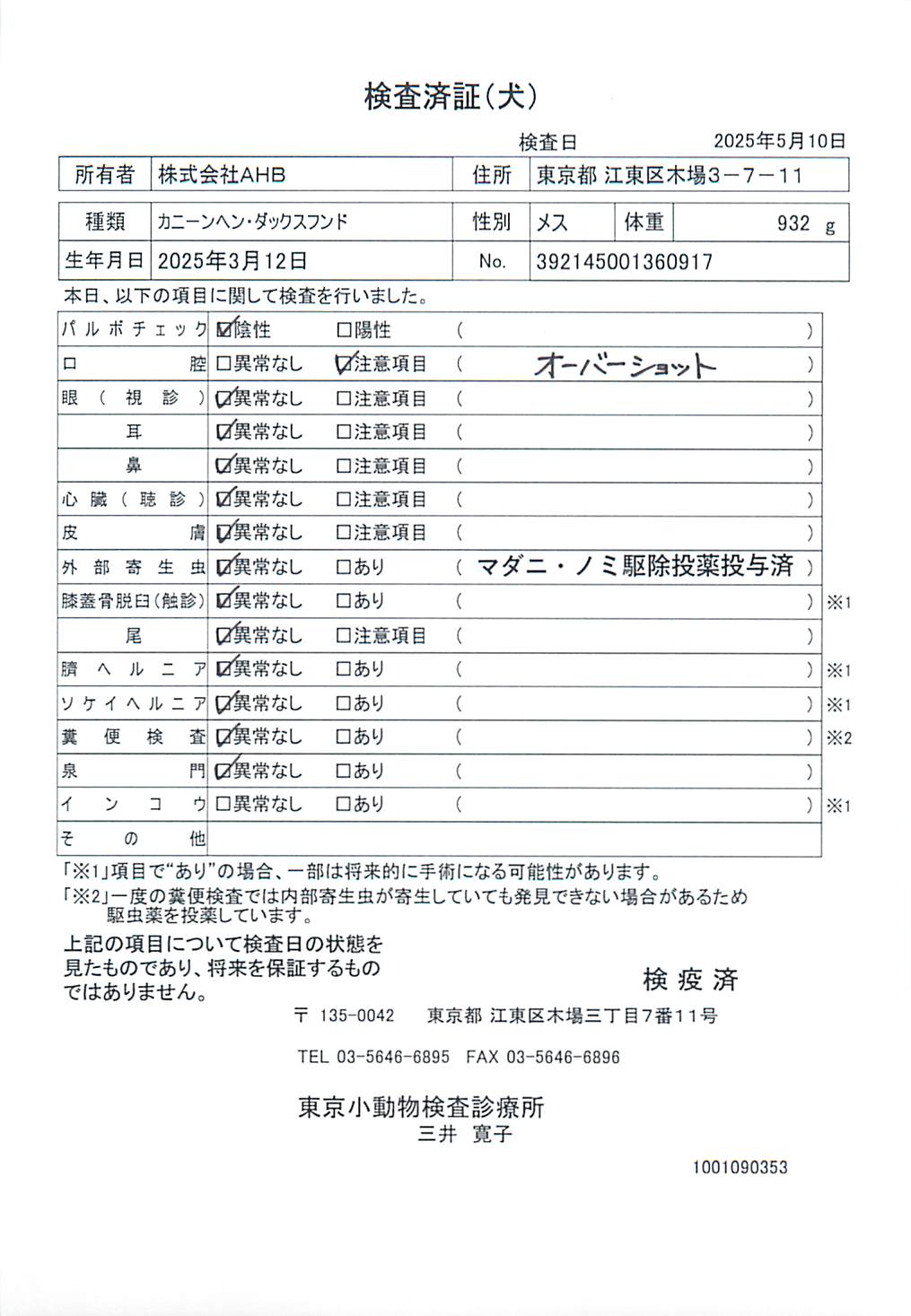 カニーンヘン・ダックスフンド