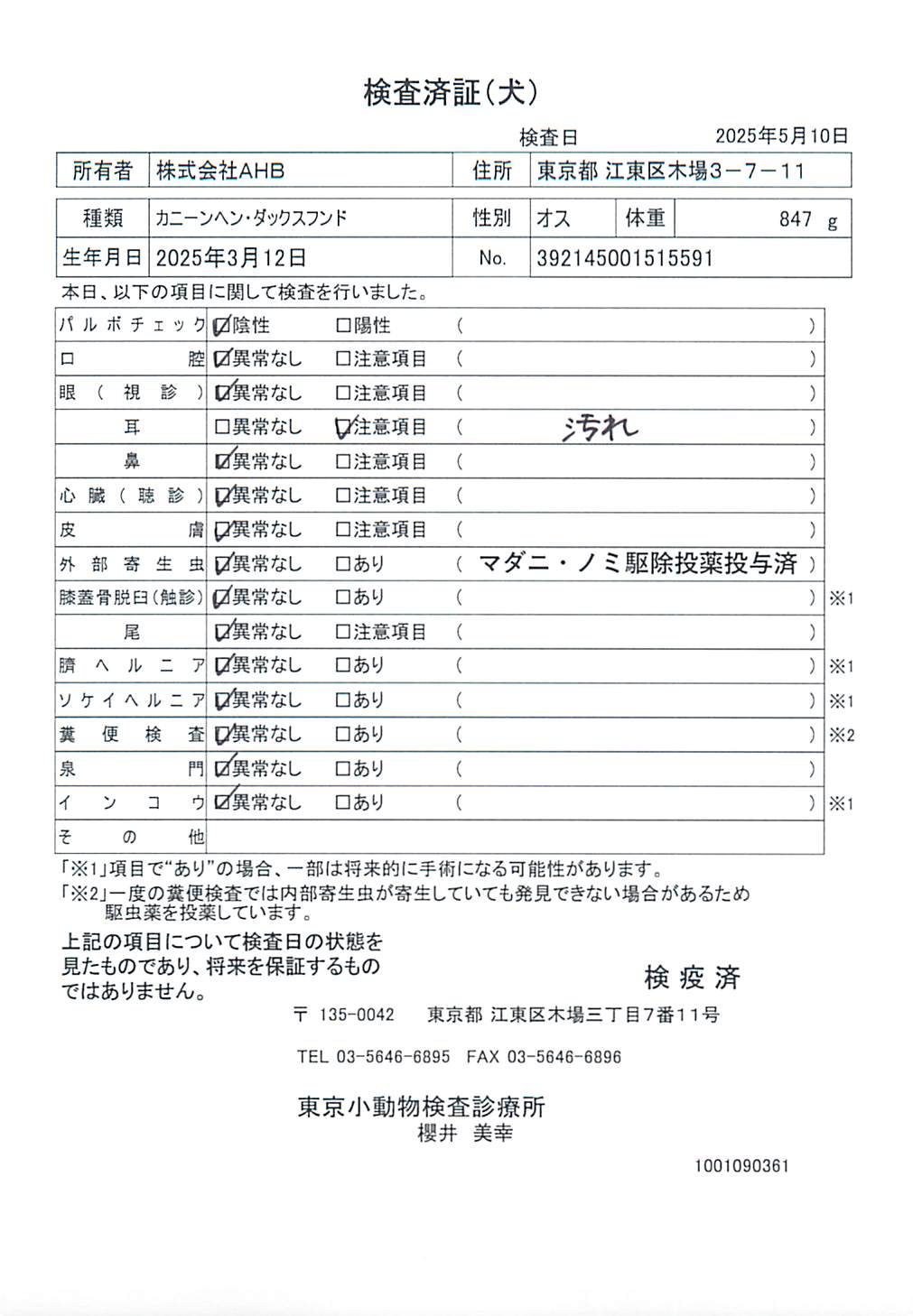 カニーンヘン・ダックスフンド