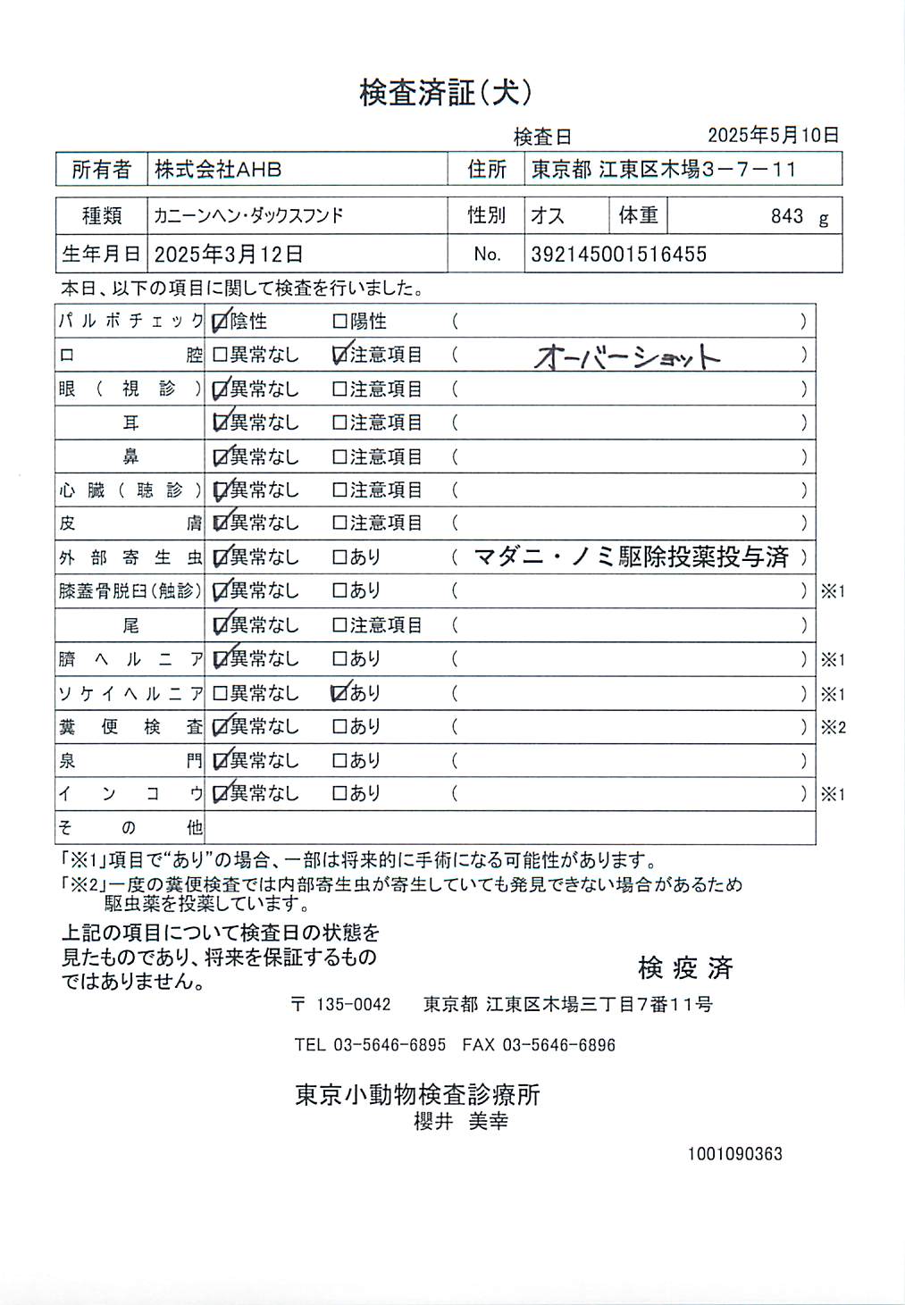 カニーンヘン・ダックスフンド