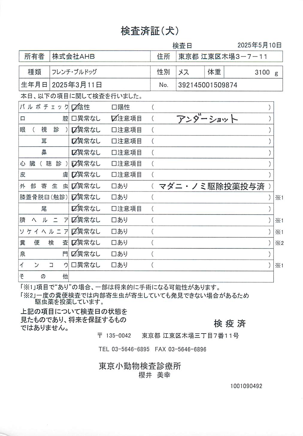 フレンチ・ブルドッグ