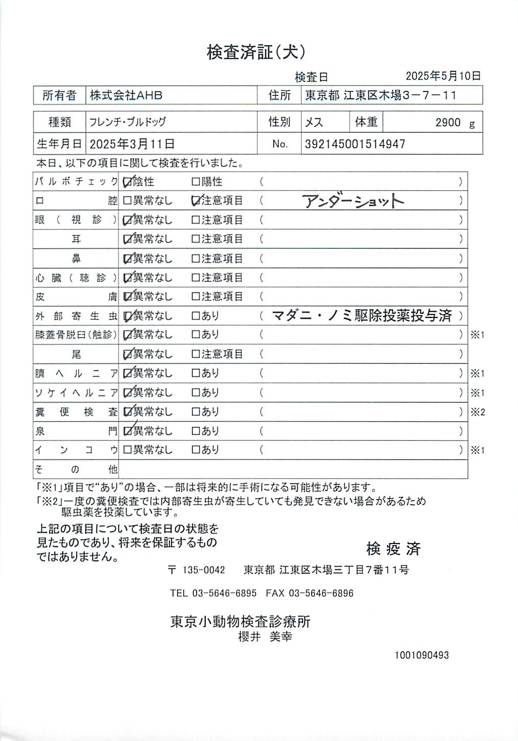 フレンチ・ブルドッグ