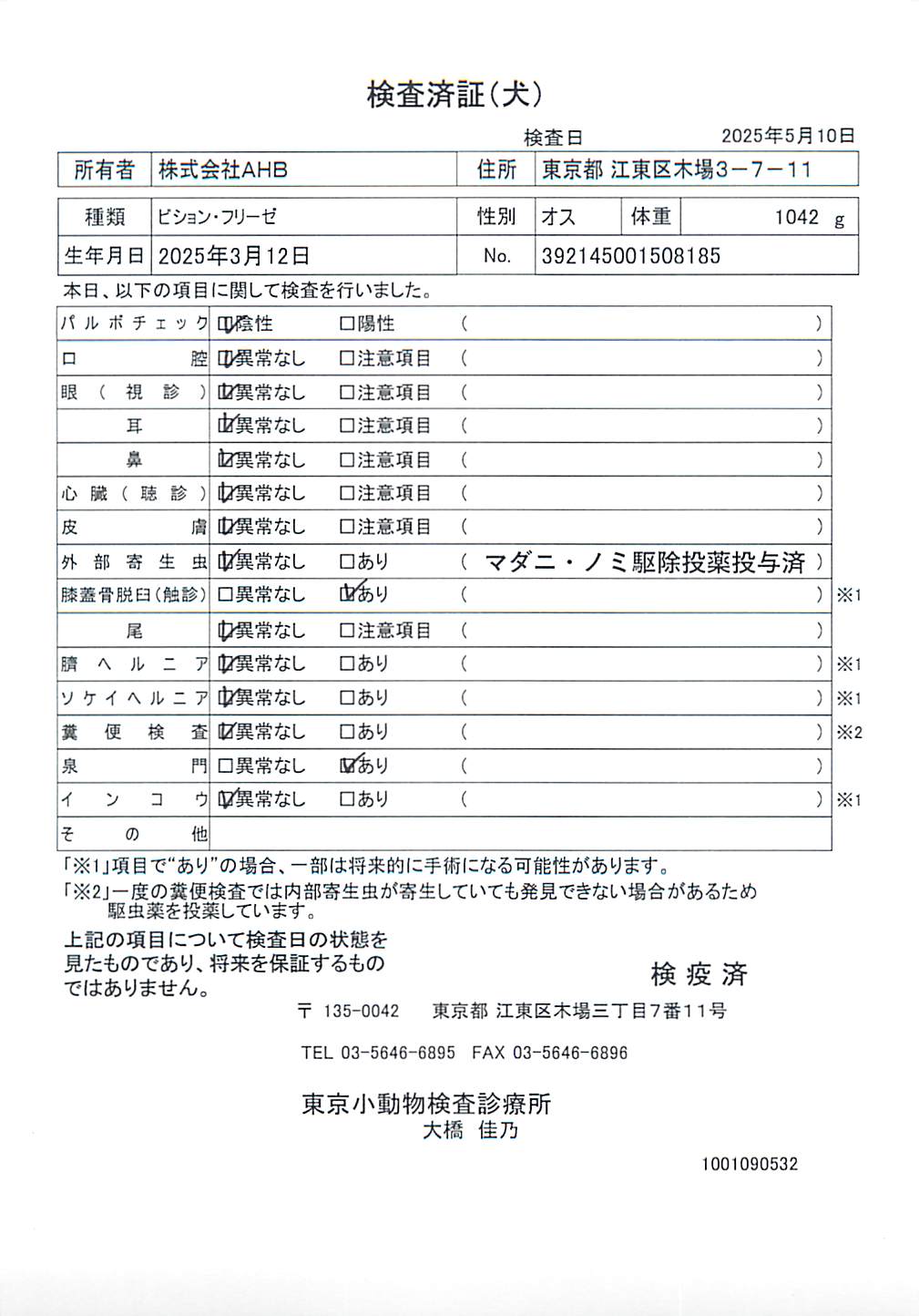 ビション・フリーゼ