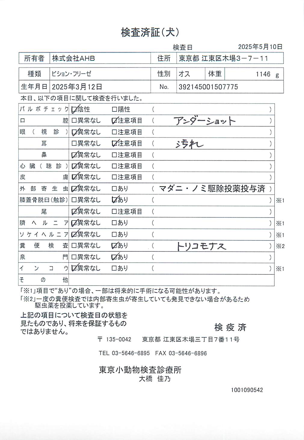 ビション・フリーゼ