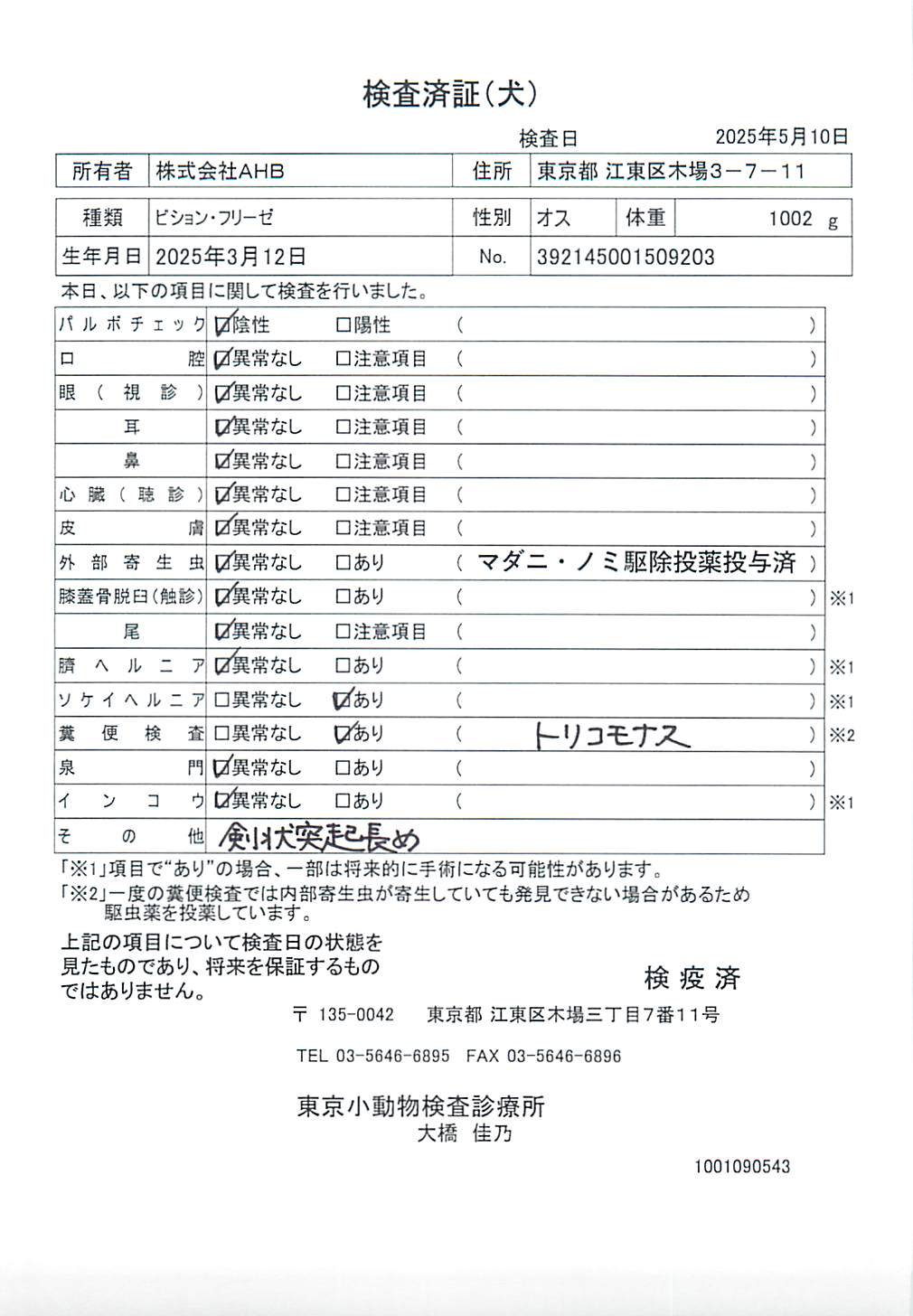 ビション・フリーゼ
