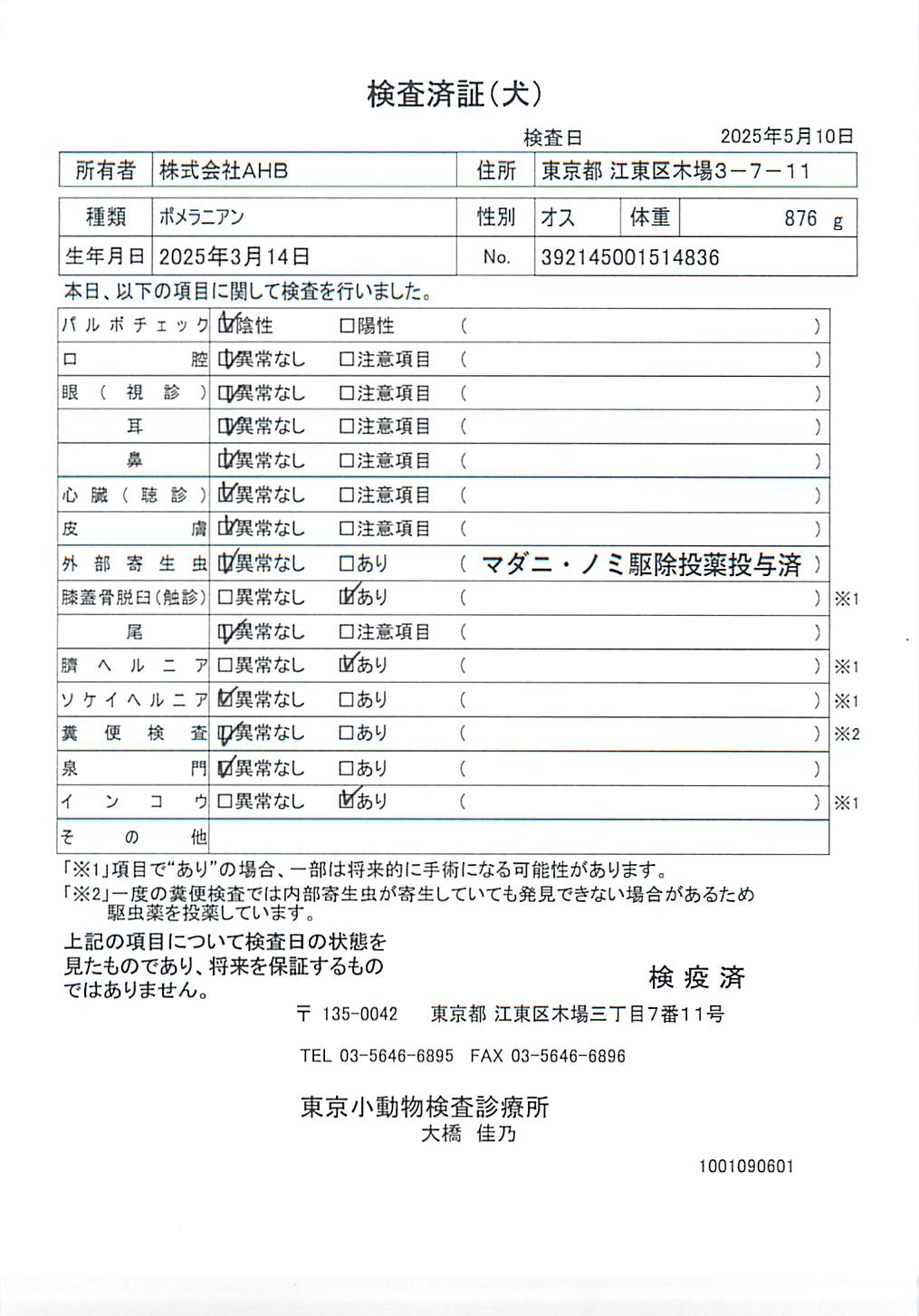 ポメラニアン