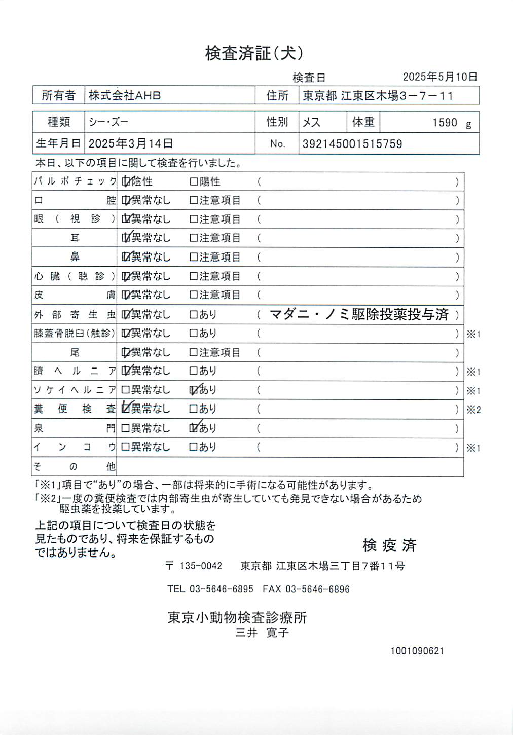 シー・ズー