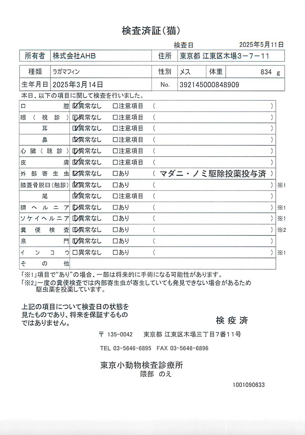 ラガマフィン