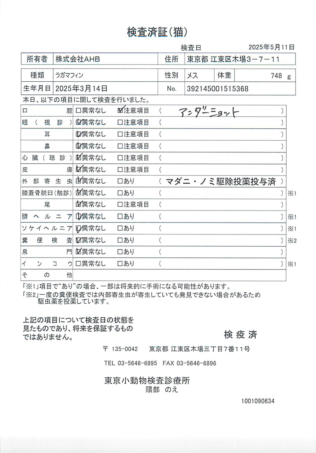 ラガマフィン
