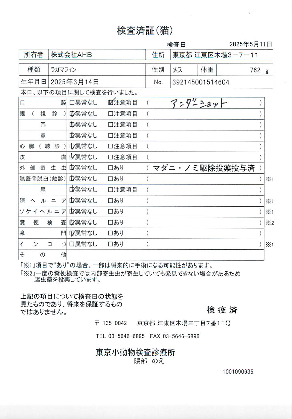 ラガマフィン