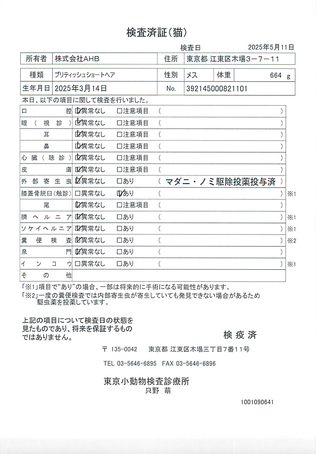 ブリティッシュショートヘア