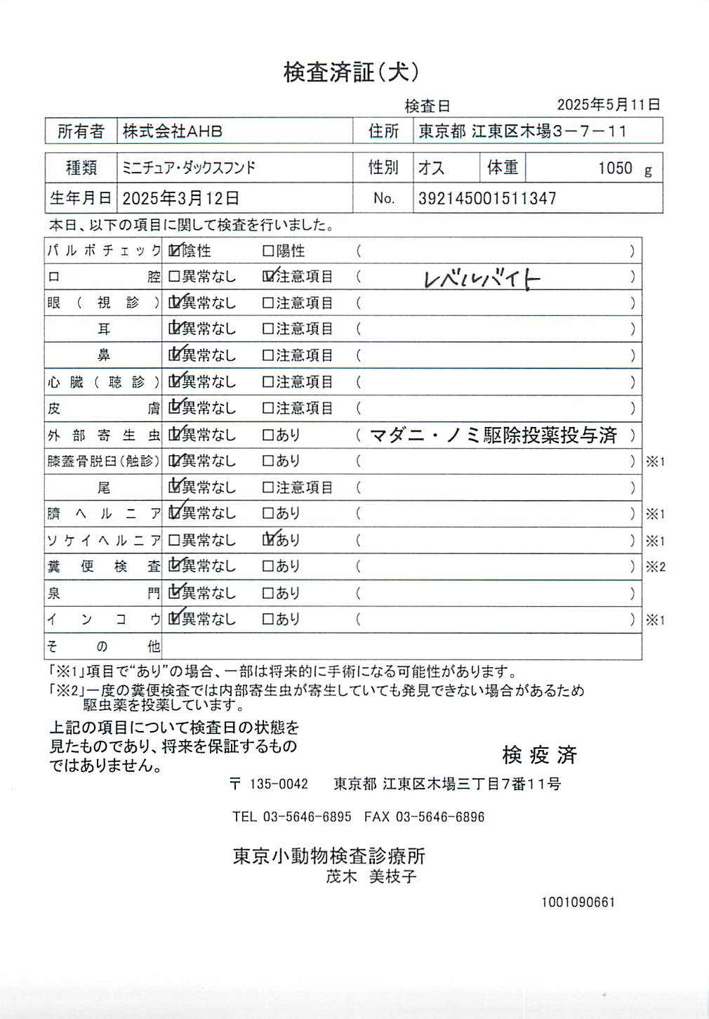 ミニチュア・ダックスフンド