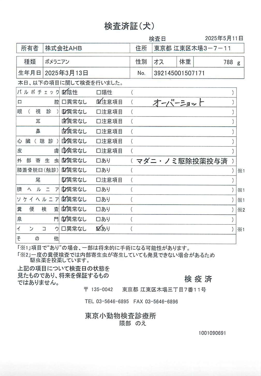 ポメラニアン