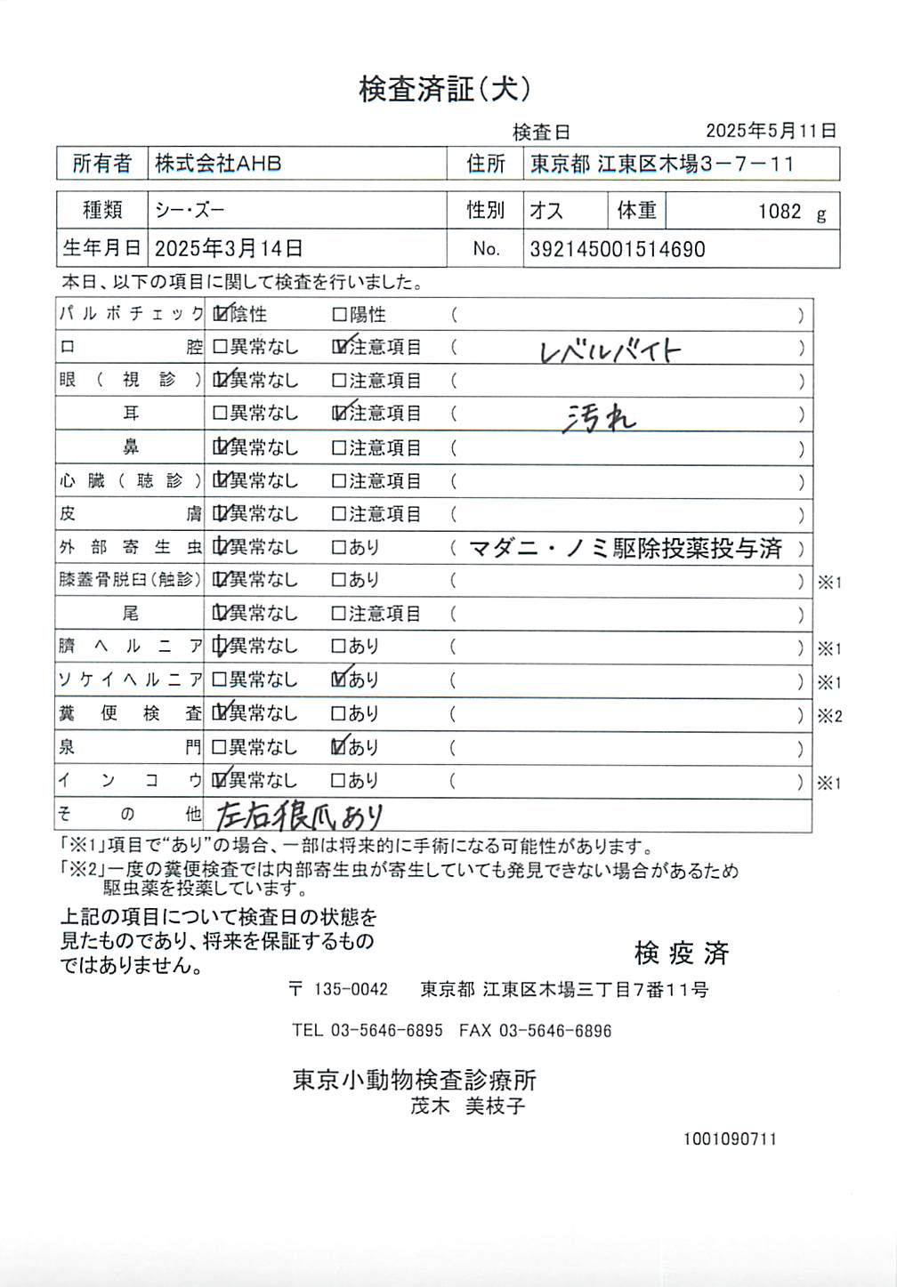 シー・ズー
