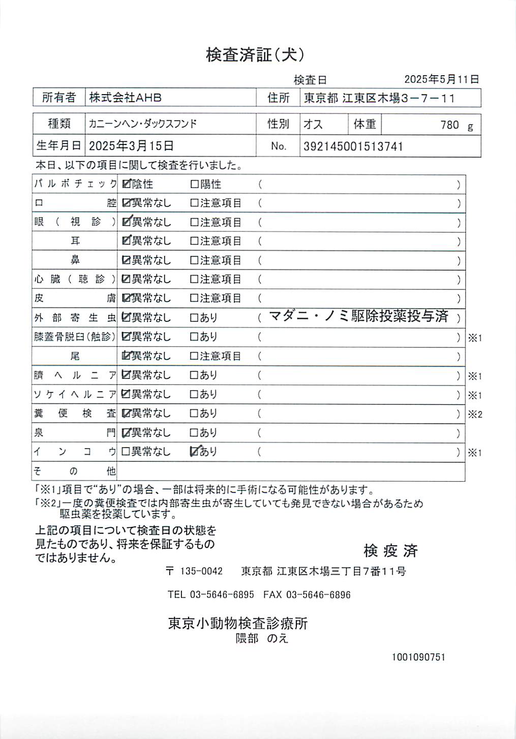 カニーンヘン・ダックスフンド